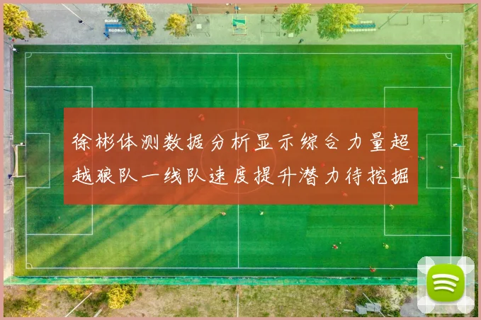 徐彬体测数据分析显示综合力量超越狼队一线队速度提升潜力待挖掘