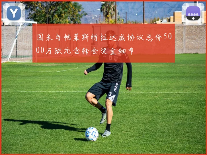 国米与帕莱斯特拉达成协议总价5000万欧元含转会奖金细节