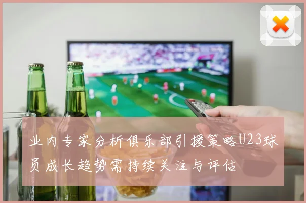 业内专家分析俱乐部引援策略U23球员成长趋势需持续关注与评估