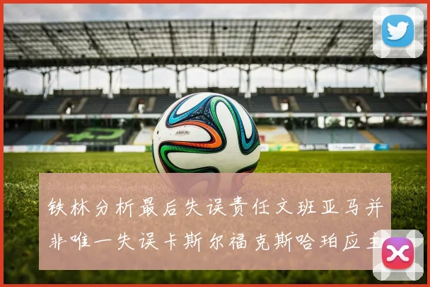 铁林分析最后失误责任文班亚马并非唯一失误卡斯尔福克斯哈珀应主动接球